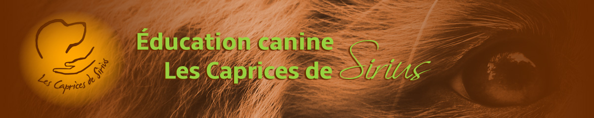 Les Caprices de Sirius - Éducateur canin